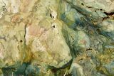 Free-Standing, Gary Green Jasper (Larsonite) Bog Wood - Oregon #334727-3